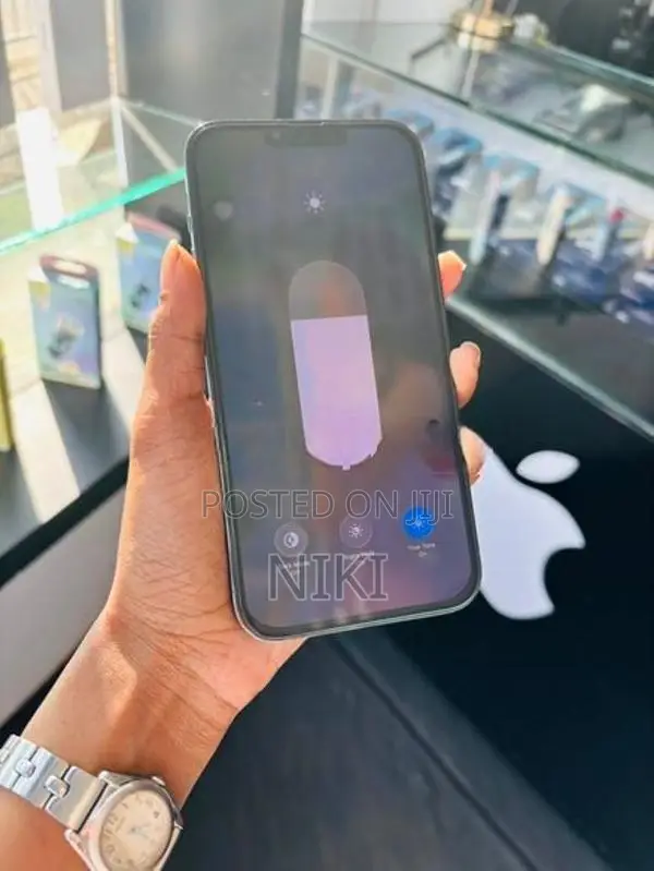 Apple iPhone 13 Pro Max (Used)