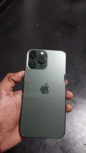 Apple iPhone 13 Pro Max (Used)