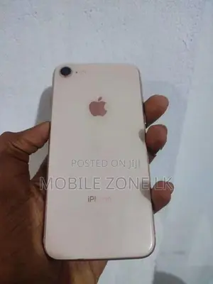 Apple iPhone 8 (Used)