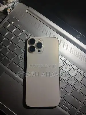 Apple iPhone 13 Pro Max (Used)
