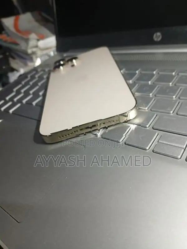 Apple iPhone 13 Pro Max (Used)