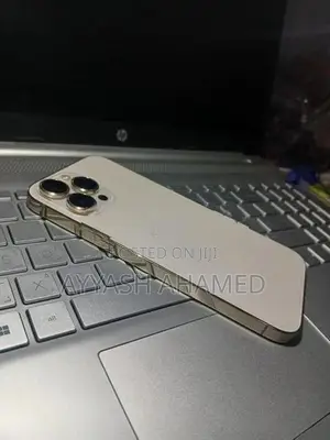 Apple iPhone 13 Pro Max (Used)