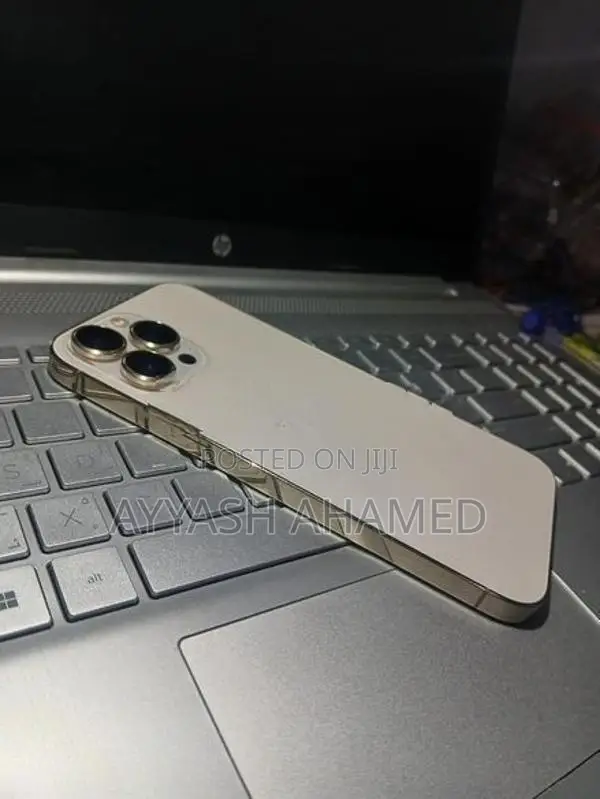 Apple iPhone 13 Pro Max (Used)