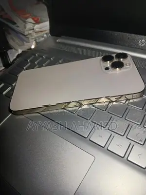 Apple iPhone 13 Pro Max (Used)
