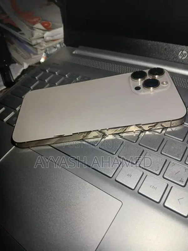 Apple iPhone 13 Pro Max (Used)