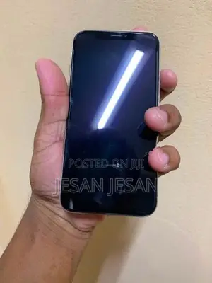 Apple iPhone X (Used)