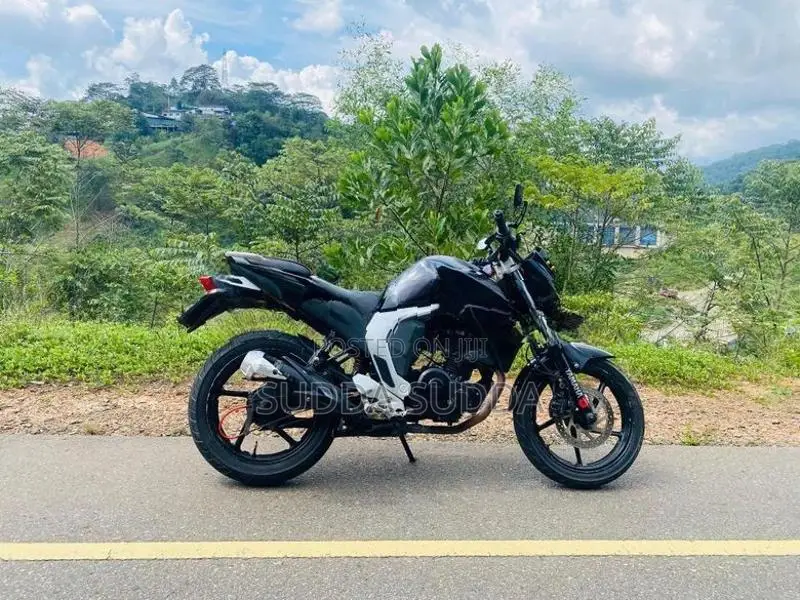 Yamaha FZs V2 2016