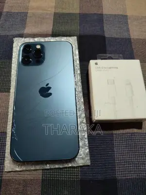 Apple iPhone 12 Pro Max (Used)