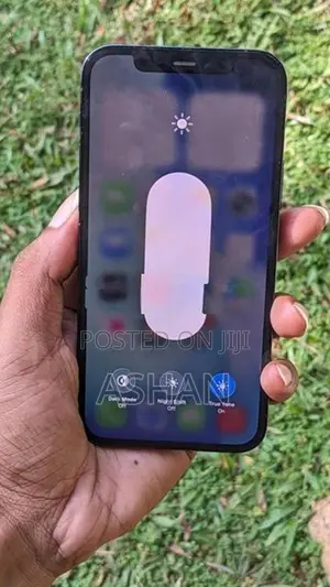 Apple iPhone 12 Pro (Used)