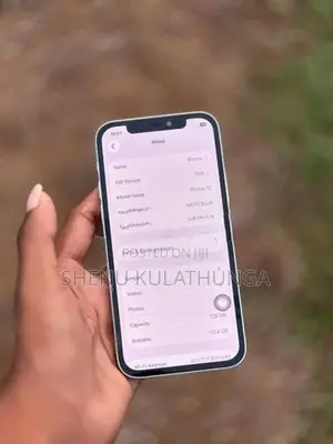Apple iPhone 12 (Used)