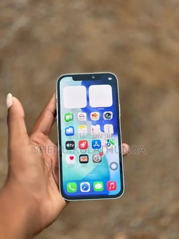 Apple iPhone 12 (Used)