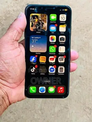 Apple iPhone X 256GB (Used)