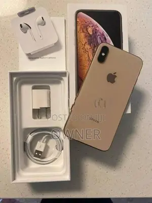 Apple iPhone X 256GB (Used)