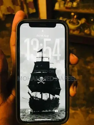 Apple iPhone 12 mini (Used)