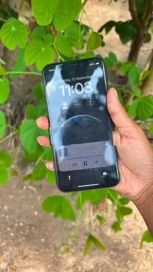 Apple iPhone X (Used)