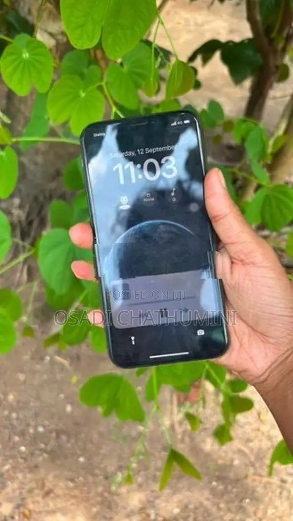 Apple iPhone X (Used)