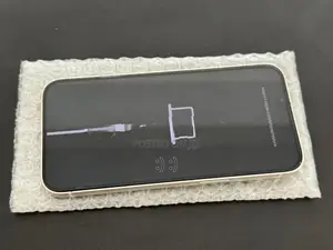 Apple iPhone 13 (Used)