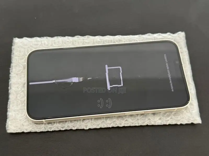 Apple iPhone 13 (Used)