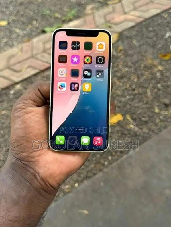 Apple iPhone 12 mini (Used)