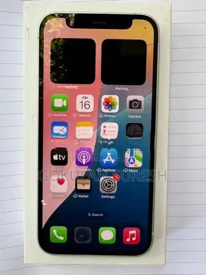 Apple iPhone 12 mini (Used)