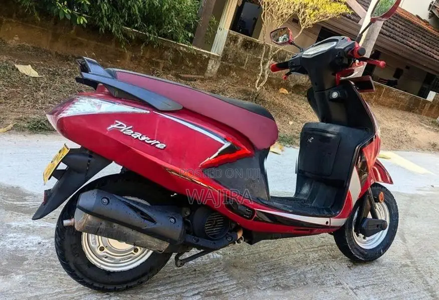 Hero Pleasure 2015