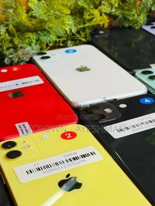 Apple iPhone 11 128GB (Used)