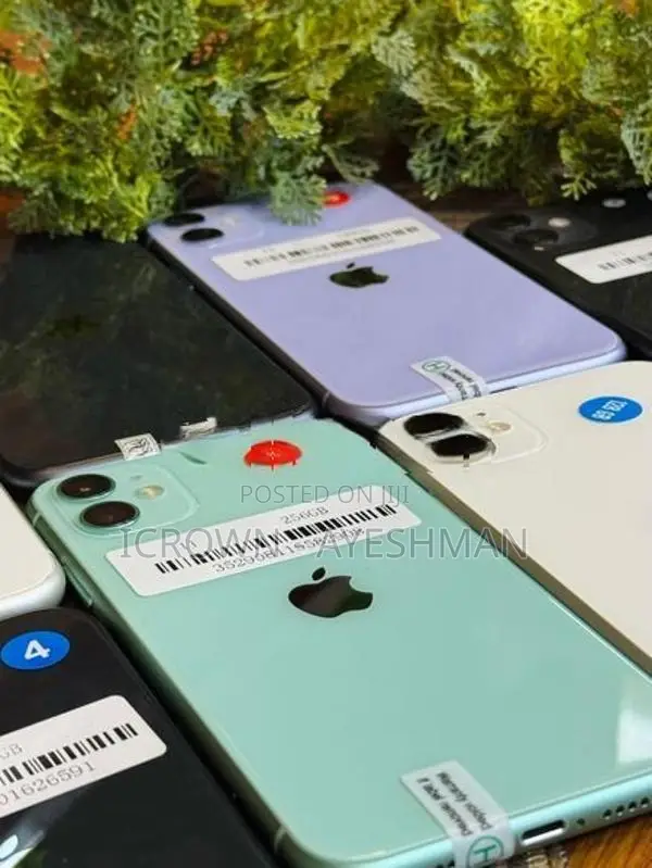Apple iPhone 11 128GB (Used)