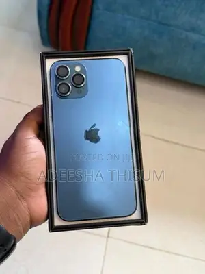 Apple iPhone 12 Pro Max (Used)