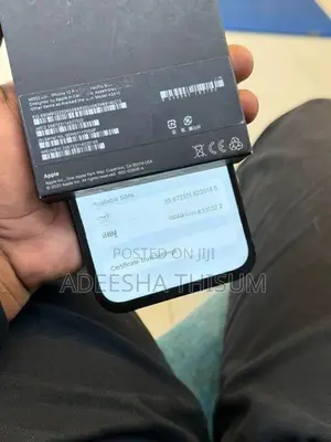 Apple iPhone 12 Pro Max (Used)