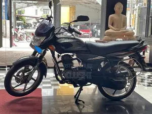 Bajaj Platina 2007