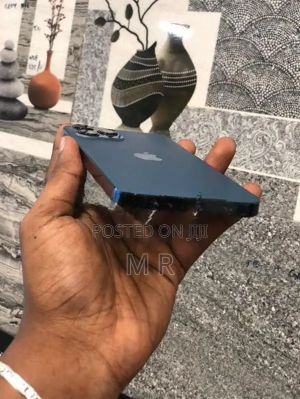 Apple iPhone 12 Pro Max (Used)