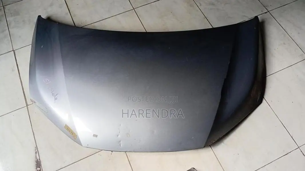Honda Fit GP2 Shuttle Bonnet