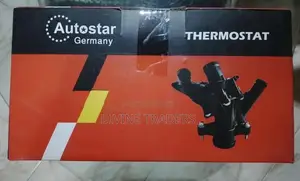 Thermostat Valve For Mercedes Benz