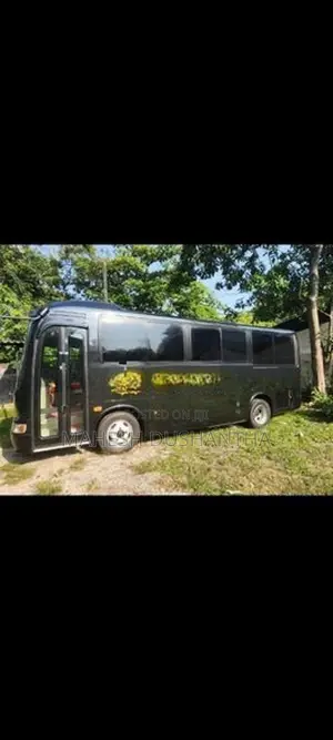 Hino BD3-RX6JFBA LIESSE 2010