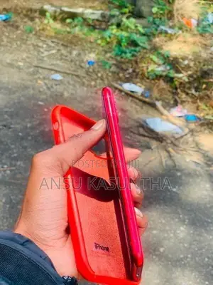 Apple iPhone 11 (Used)