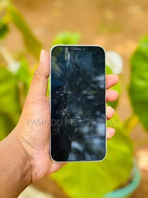 Apple iPhone 12 Pro (Used)