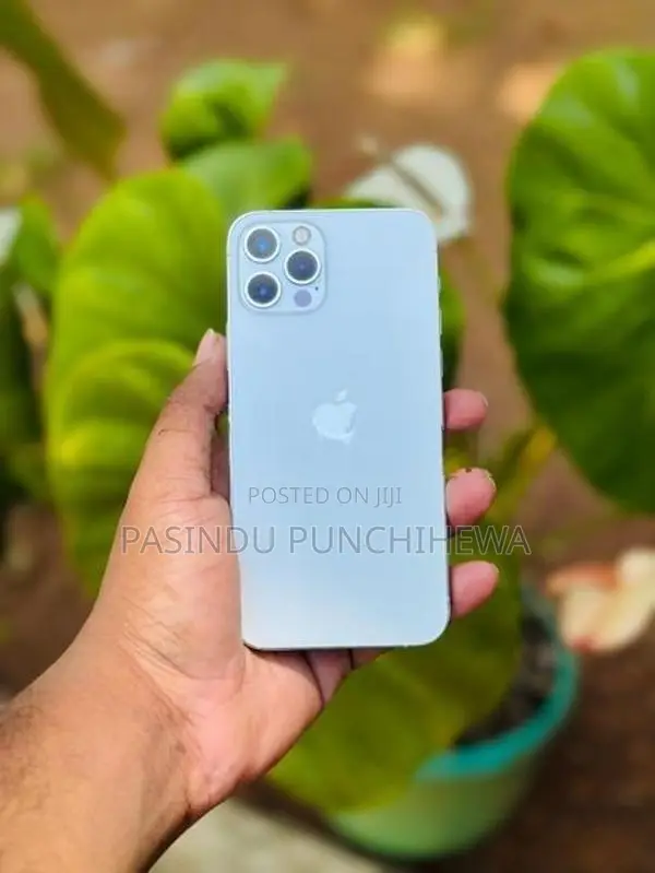 Apple iPhone 12 Pro (Used)