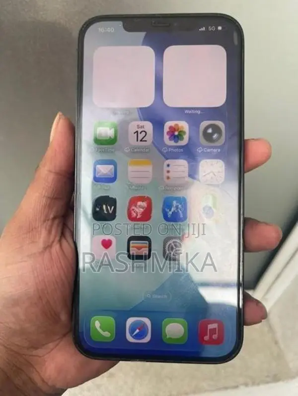 Apple iPhone 12 Pro Max (Used)