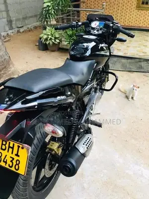 Bajaj Pulsar 150 2019