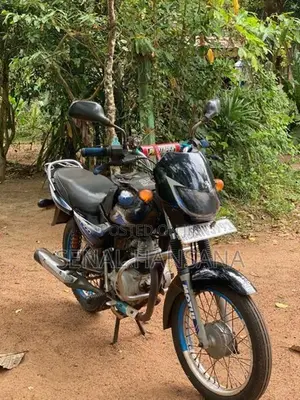 Bajaj CT100 2019