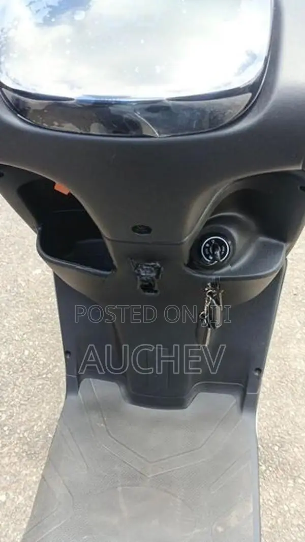AUCHEV Pisces 2026