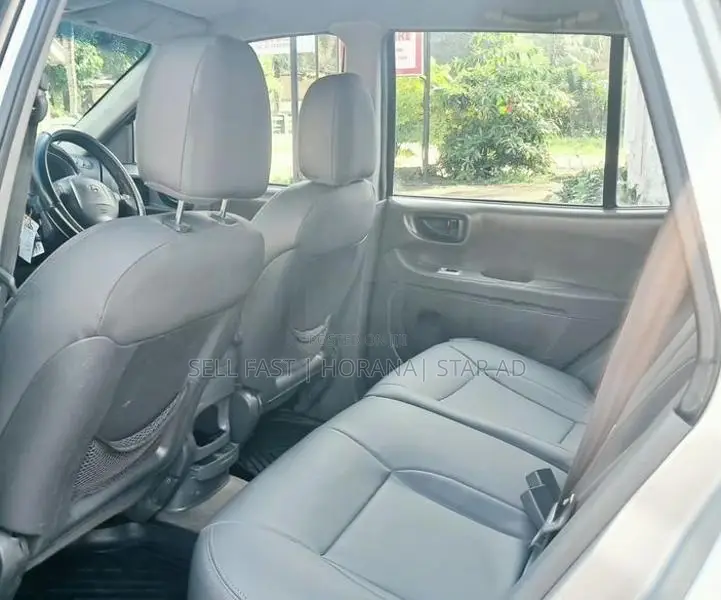 Hyundai Santa Fe 2003