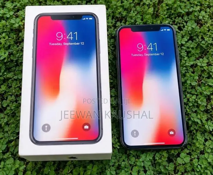 Apple iPhone X (Used)