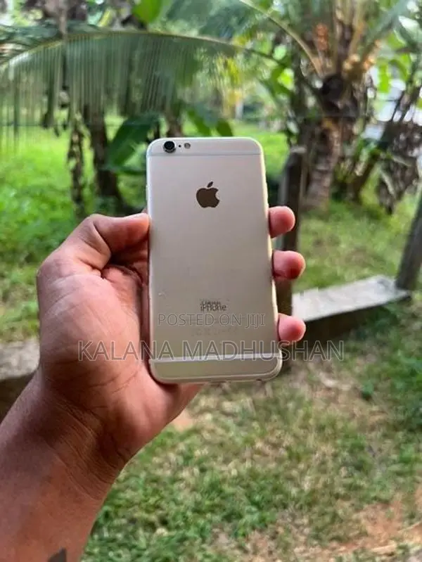 Apple iPhone 6 (Used)