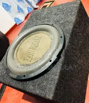 Car Subwoofer