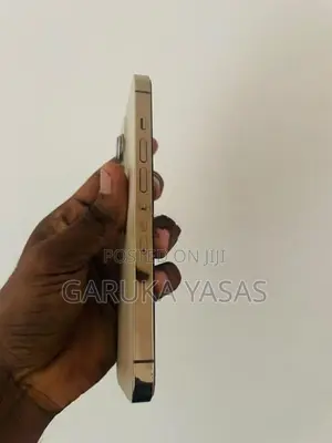 Apple iPhone 13 Pro 256GB (Used)