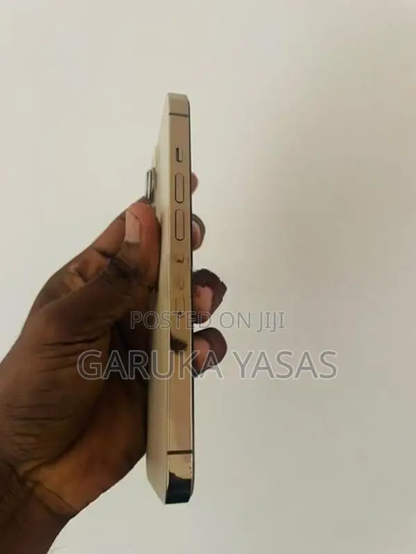 Apple iPhone 13 Pro 256GB (Used)