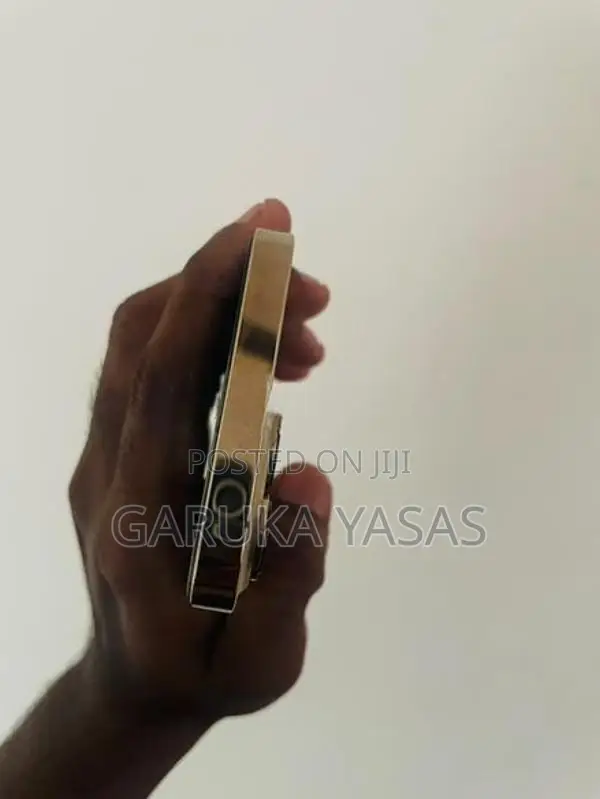 Apple iPhone 13 Pro 256GB (Used)