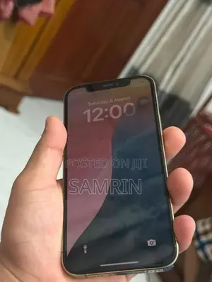 Apple iPhone 12 Pro (Used)