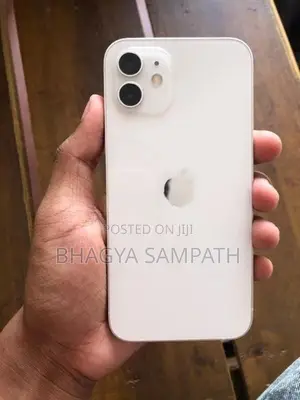 Apple iPhone 12 (Used)